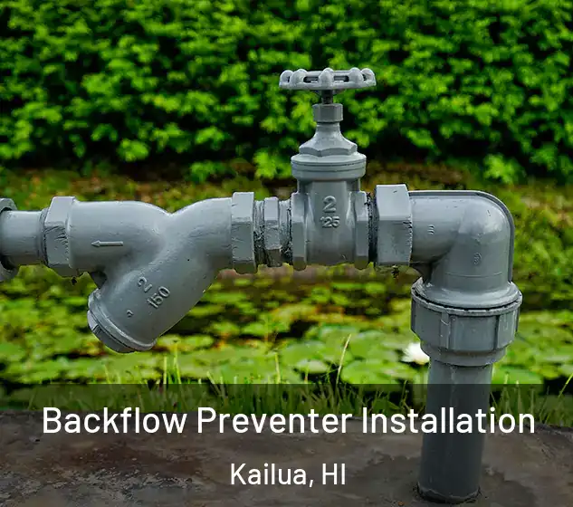  Backflow Preventer Installation Kailua, HI