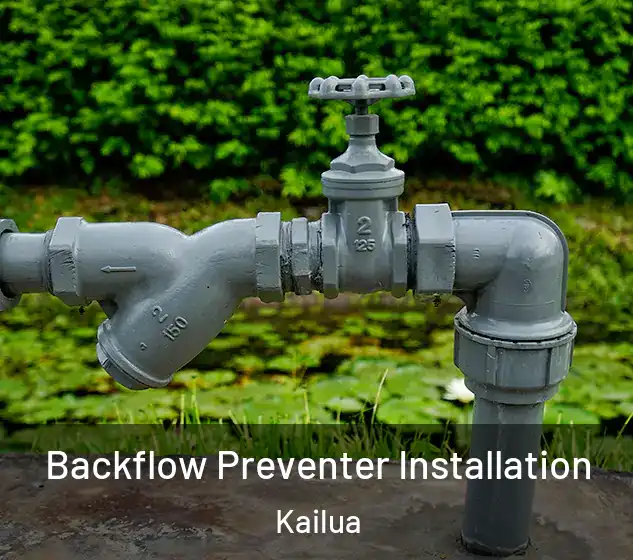  Backflow Preventer Installation Kailua
