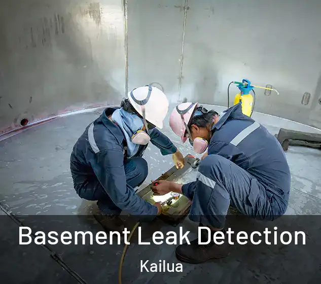  Basement Leak Detection Kailua