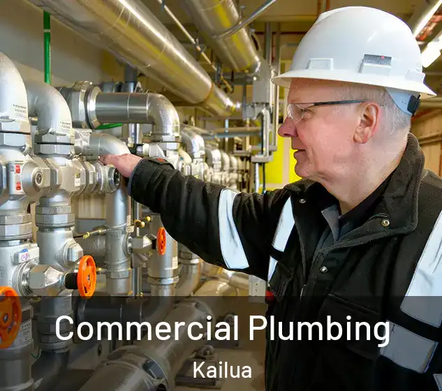  Commercial Plumbing Kailua
