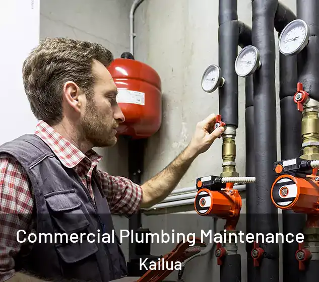  Commercial Plumbing Maintenance Kailua