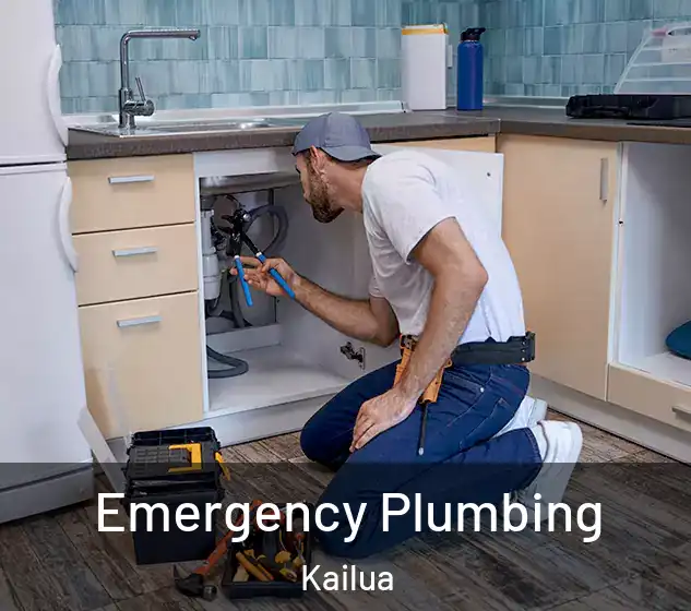  Emergency Plumbing Kailua
