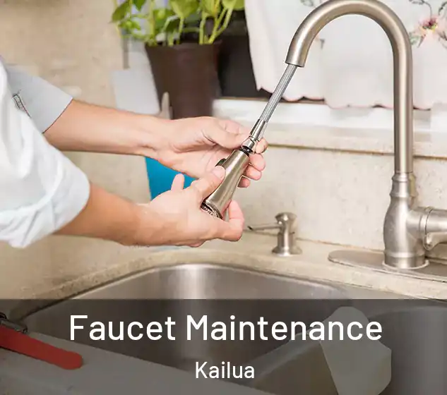  Faucet Maintenance Kailua