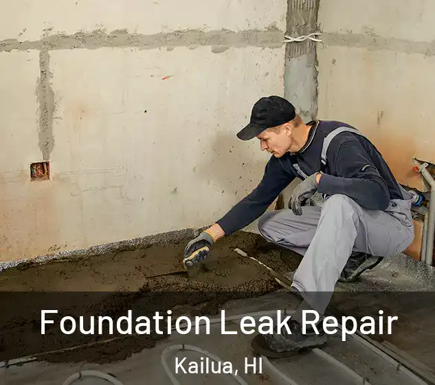  Foundation Leak Repair Kailua, HI