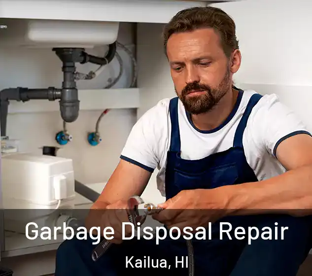  Garbage Disposal Repair Kailua, HI