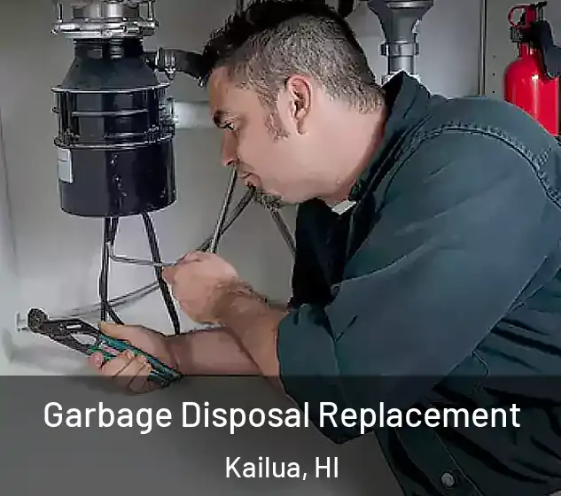  Garbage Disposal Replacement Kailua, HI