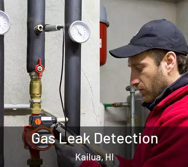  Gas Leak Detection Kailua, HI