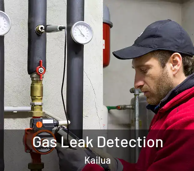  Gas Leak Detection Kailua