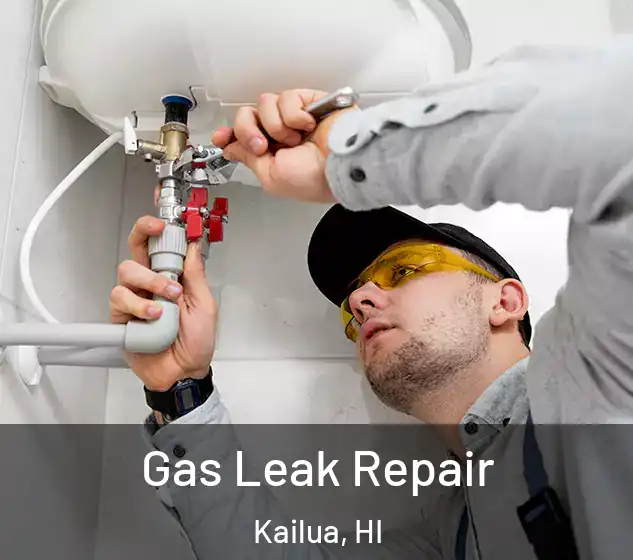  Gas Leak Repair Kailua, HI