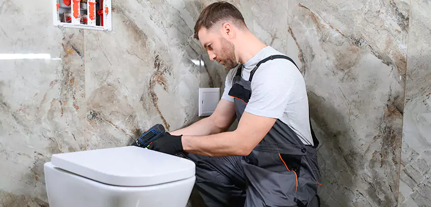 Scope of Bathroom Toilet Replacement Services in Kailua, HI