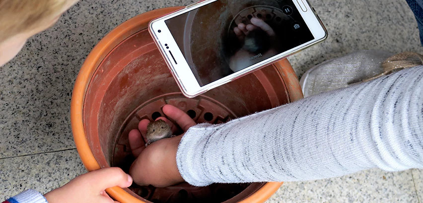 Scope of Drain Camera Inspection Services in Kailua, HI