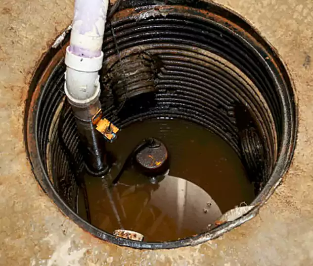 Meet Our Local Kailua, HI Plumbing Team