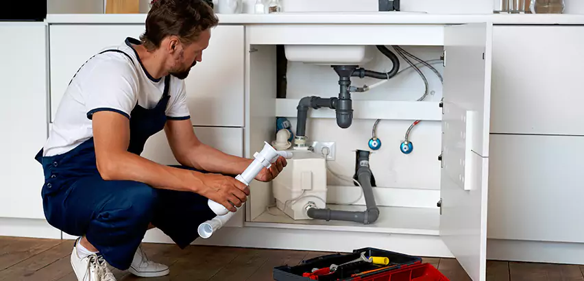 Scope of Kitchen Garbage Disposal Replacement Services in Kailua, HI