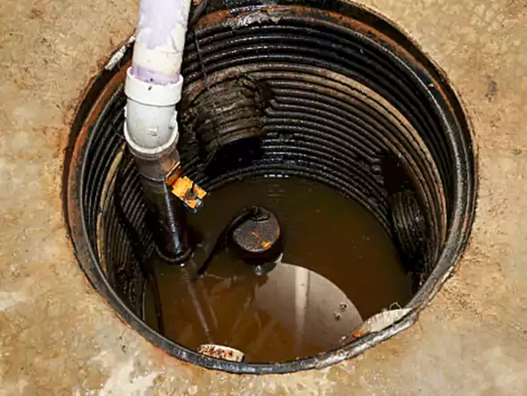 Why Kailua Plumbing is the First Choice for Sump Pump Maintenance Services in Kailua, HI?