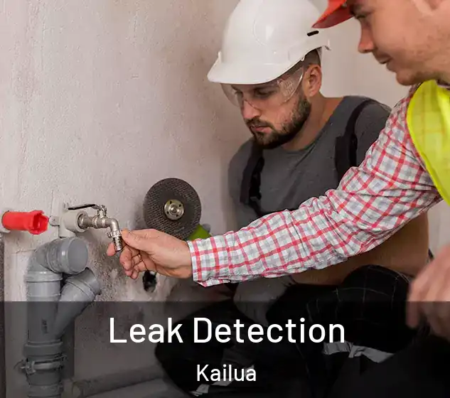  Leak Detection Kailua