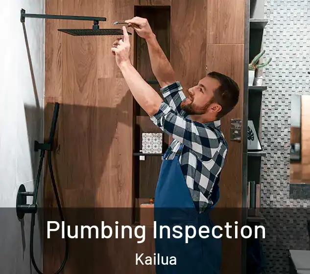  Plumbing Inspection Kailua