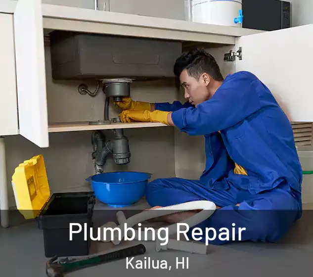  Plumbing Repair Kailua, HI