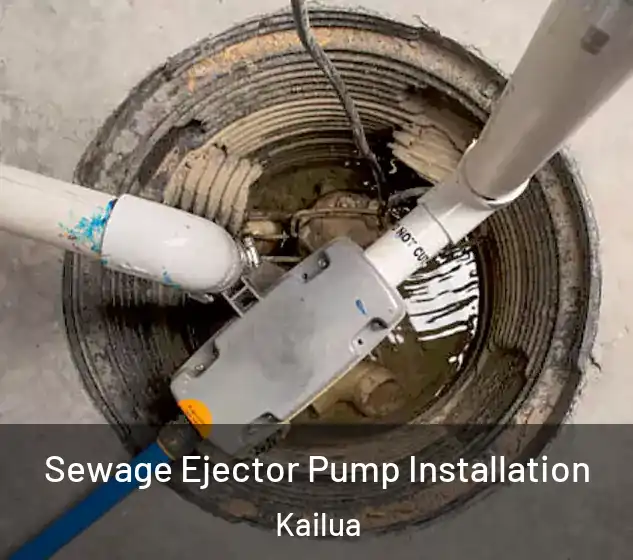  Sewage Ejector Pump Installation Kailua