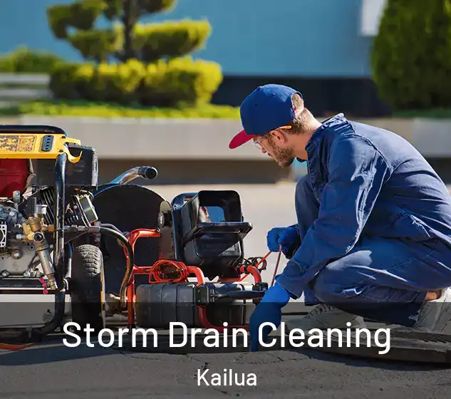  Storm Drain Cleaning Kailua