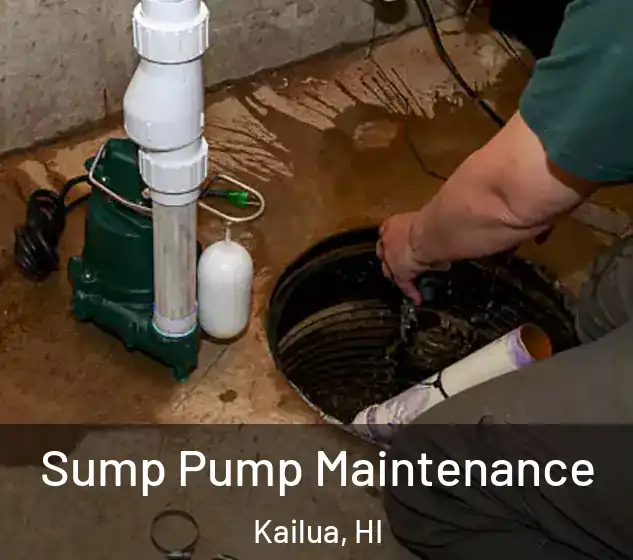  Sump Pump Maintenance Kailua, HI