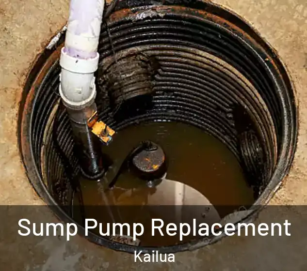  Sump Pump Replacement Kailua