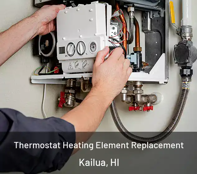  Thermostat Heating Element Replacement Kailua, HI