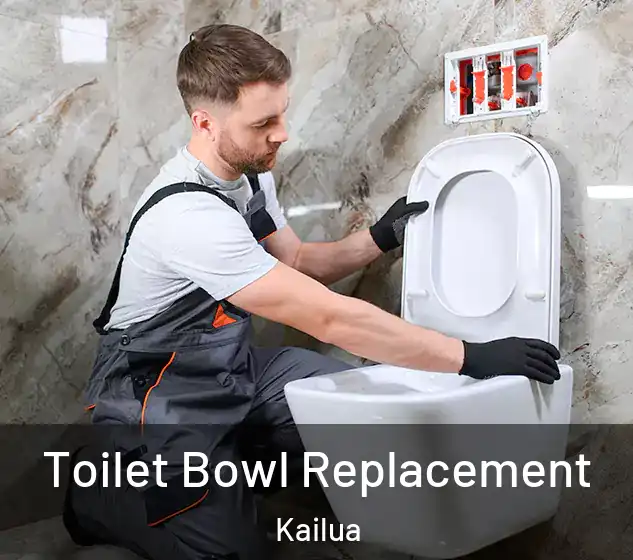  Toilet Bowl Replacement Kailua