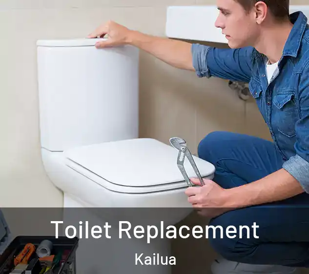  Toilet Replacement Kailua