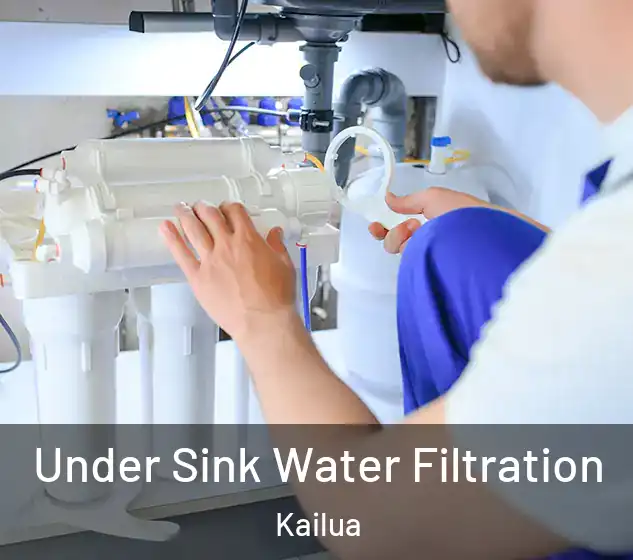  Under Sink Water Filtration Kailua