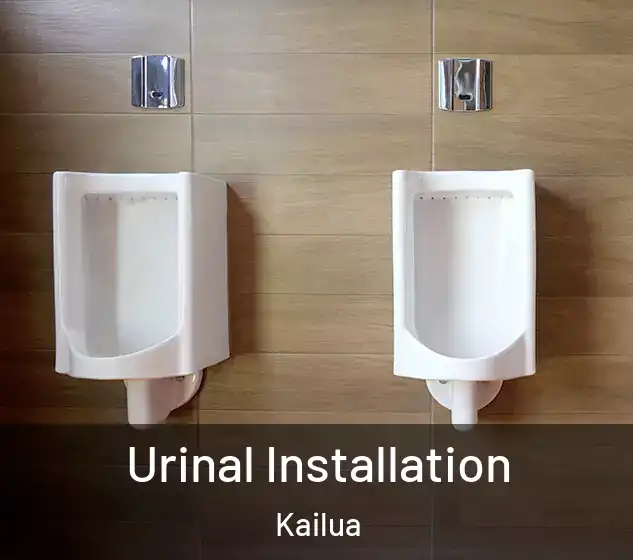  Urinal Installation Kailua