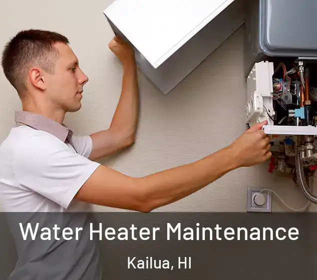 Water Heater Maintenance Kailua, HI