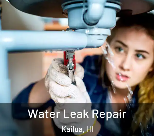  Water Leak Repair Kailua, HI