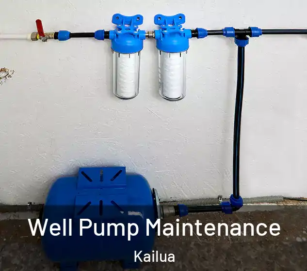  Well Pump Maintenance Kailua