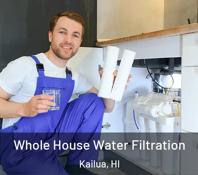  Whole House Water Filtration Kailua, HI