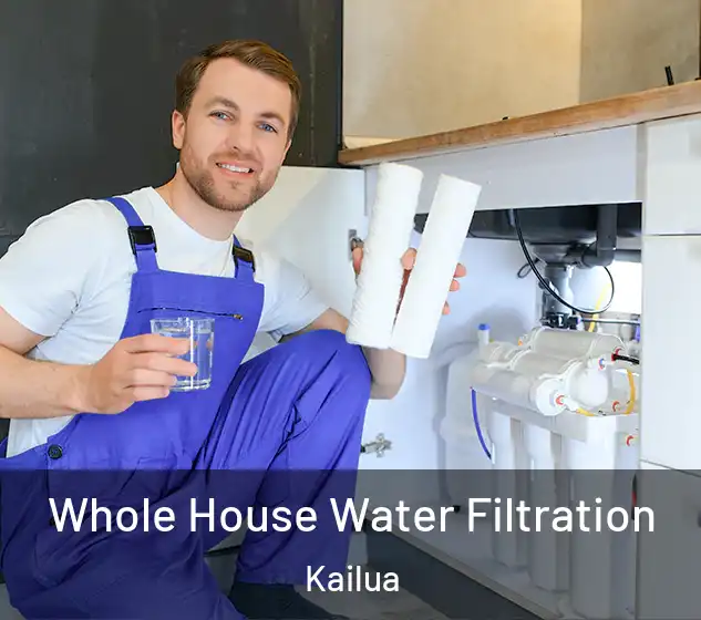  Whole House Water Filtration Kailua